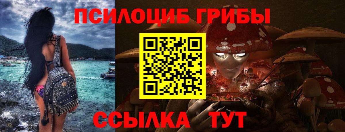 Гудермес  Псилоцибиновые грибы Psilocybine cubensis  Вход с VPN 