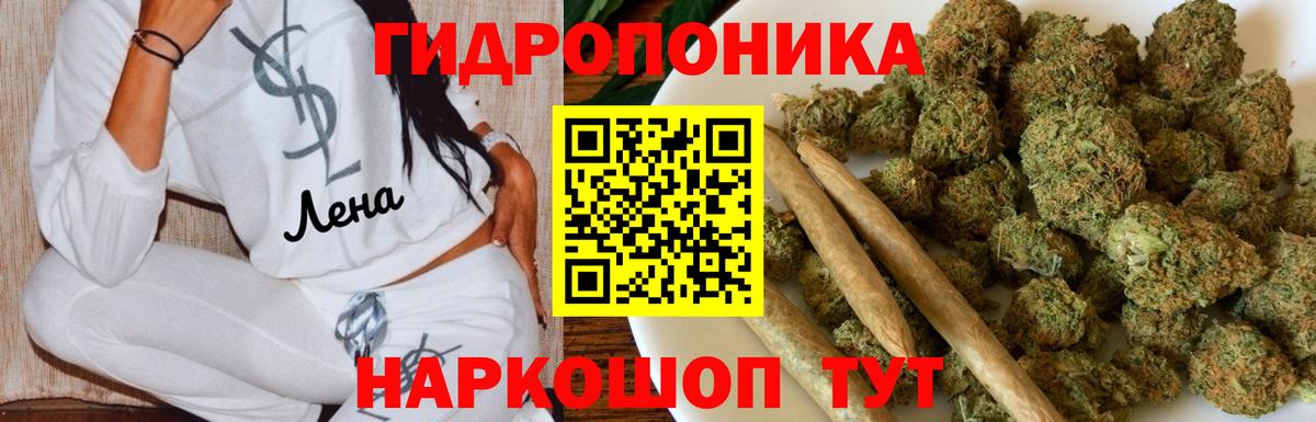 Бошки марихуана Bruce Banner Гудермес